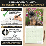 Tibetan Terrier Wall Calendar 2027 - 12" x 12" Monthly Loyal & Affectionate Tibetan Dog Breed Calendar