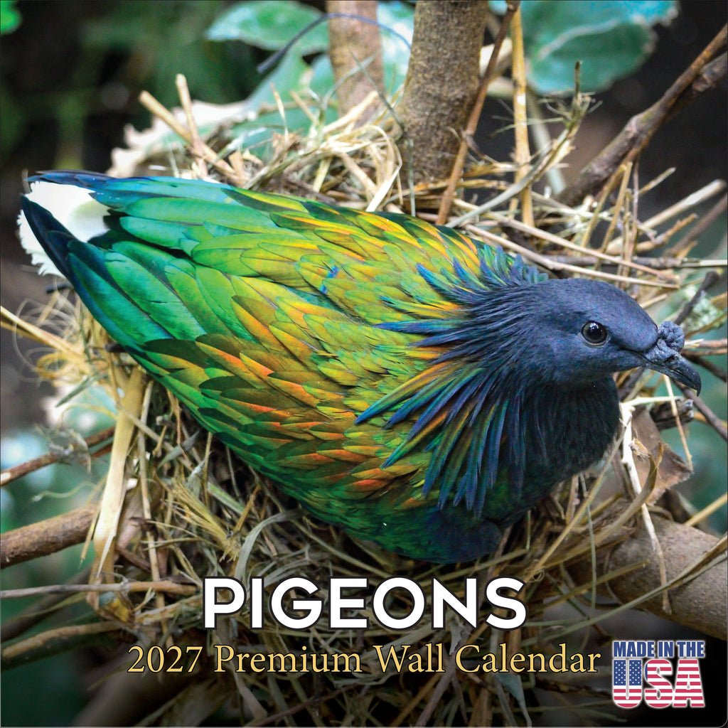Pigeons Wall Calendar 2026