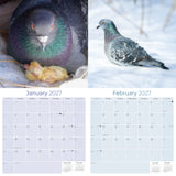 Pigeons Wall Calendar 2026