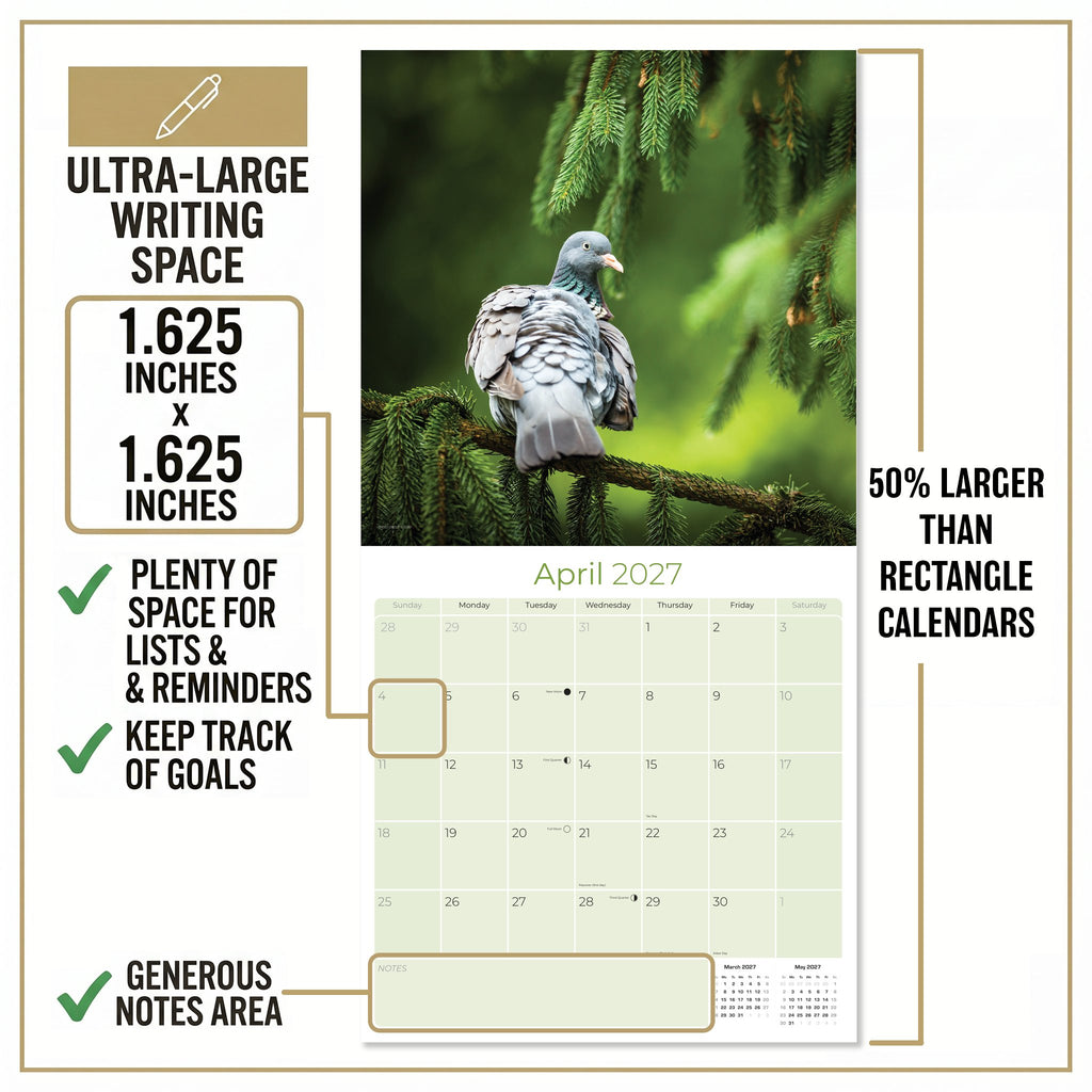 Pigeons Wall Calendar 2026