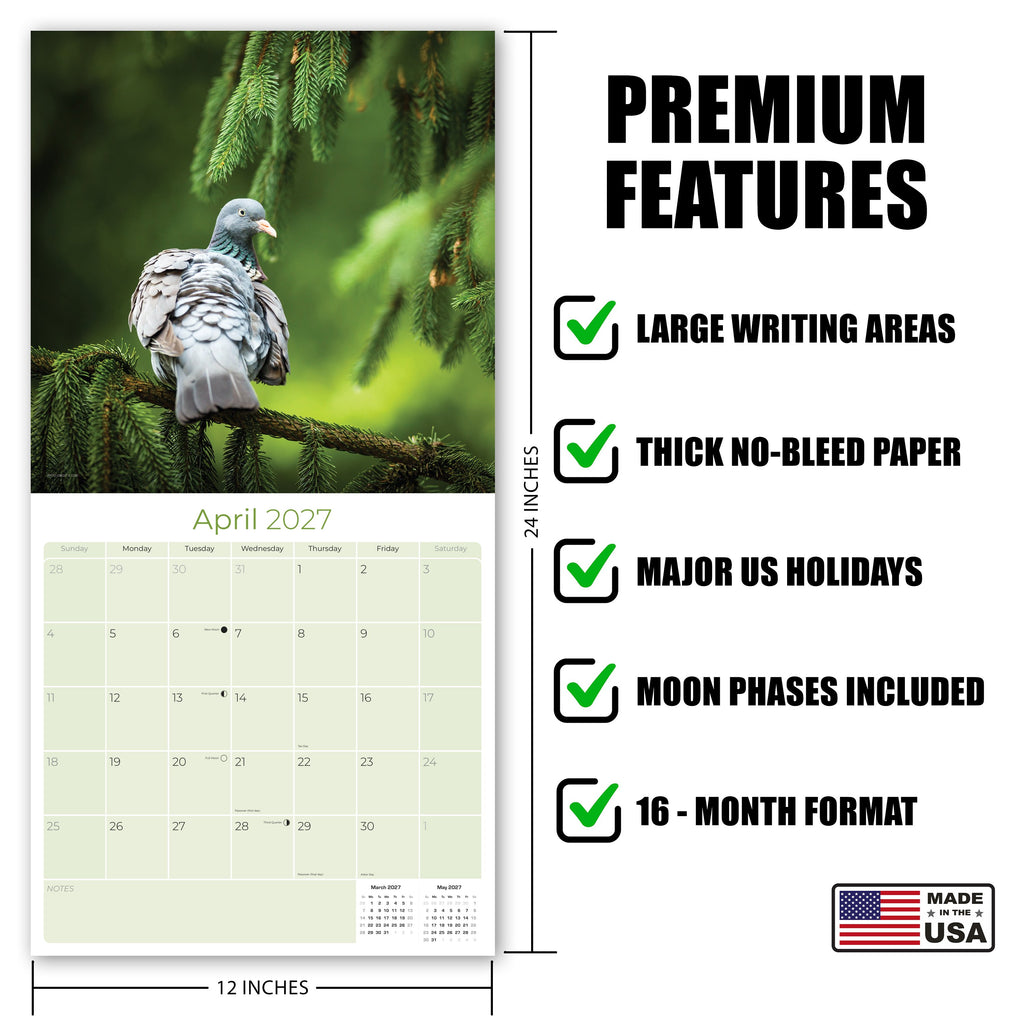 Pigeons Wall Calendar 2026