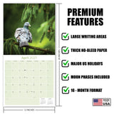 Pigeons Wall Calendar 2026