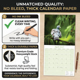 Pigeons Wall Calendar 2026