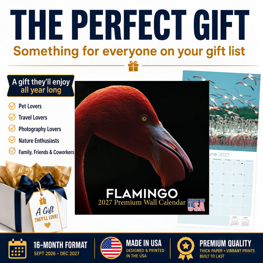 Flamingo Wall Calendar 2027 - 12" x 12" Monthly Vibrant Pink Flamingo Tropical Wading Bird Calendar