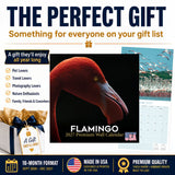 Flamingo Wall Calendar 2027 - 12" x 12" Monthly Vibrant Pink Flamingo Tropical Wading Bird Calendar
