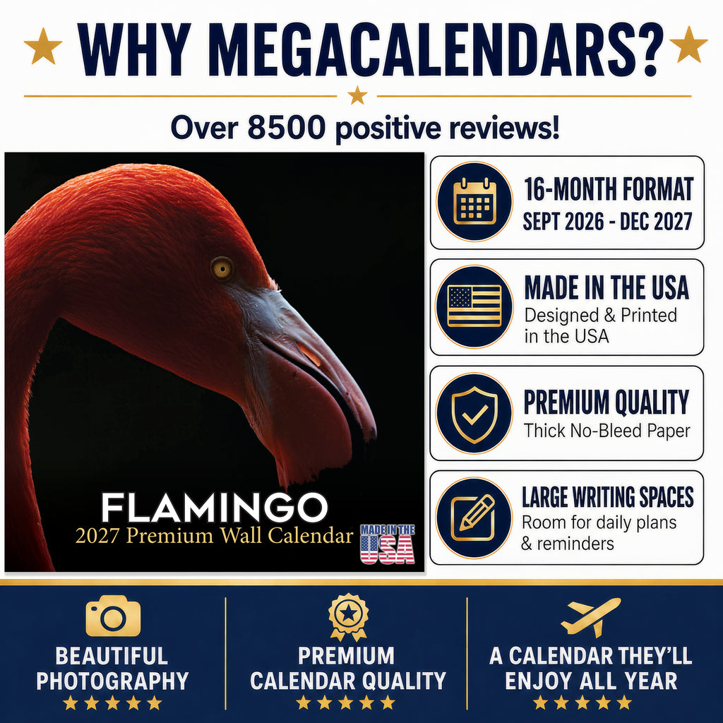 Flamingo Wall Calendar 2027 - 12" x 12" Monthly Vibrant Pink Flamingo Tropical Wading Bird Calendar
