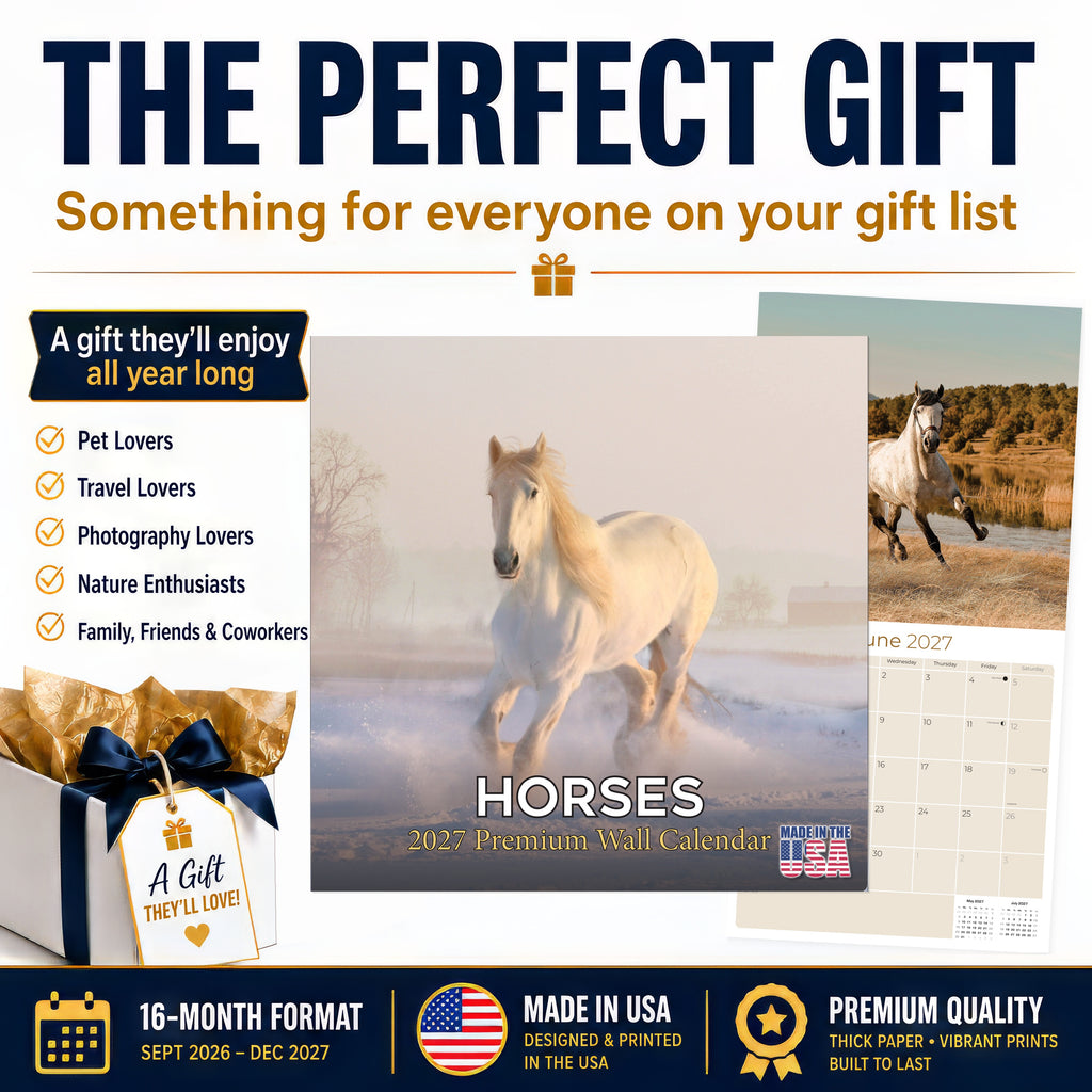 Horses Wall Calendar 2027 - 12" x 12" Monthly Majestic Equine & Galloping Stallion Fine Art Calendar