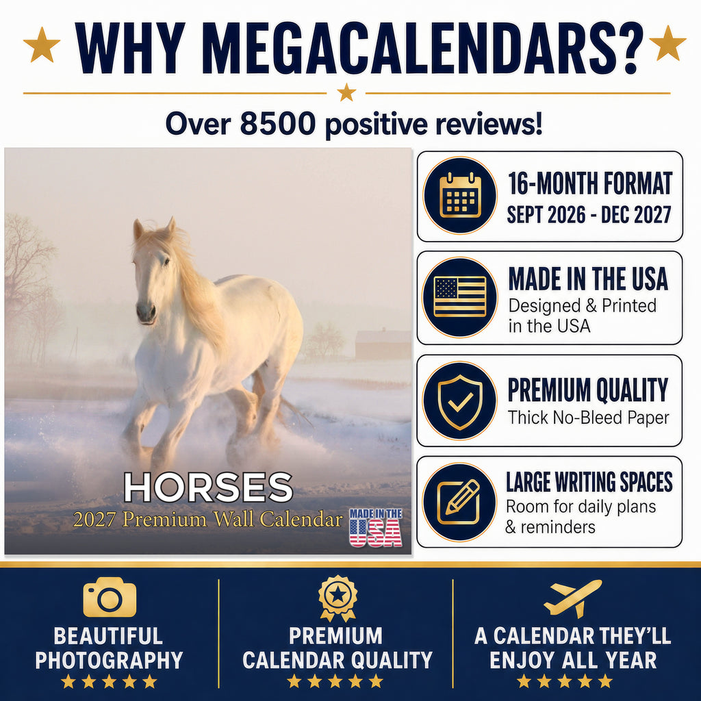 Horses Wall Calendar 2027 - 12" x 12" Monthly Majestic Equine & Galloping Stallion Fine Art Calendar