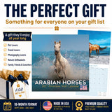 Arabian Horses Wall Calendar 2027 - 12" x 12" Monthly Elegant & Spirited Desert Equine Art Calendar