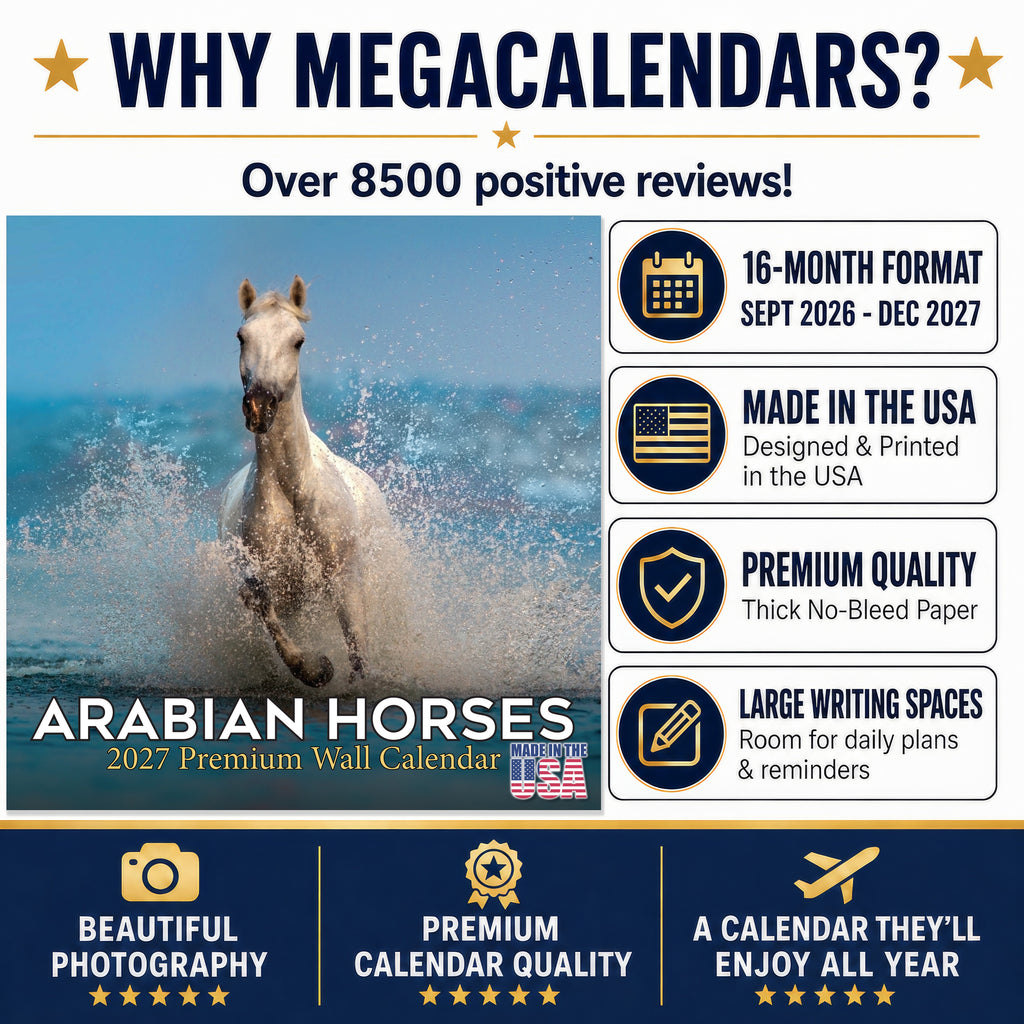 Arabian Horses Wall Calendar 2027 - 12" x 12" Monthly Elegant & Spirited Desert Equine Art Calendar
