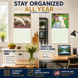 Sheep Wall Calendar 2027 - 12" x 12" Monthly Gentle & Pastoral Farm Animal Sheep Breed Calendar