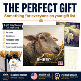 Sheep Wall Calendar 2027 - 12" x 12" Monthly Gentle & Pastoral Farm Animal Sheep Breed Calendar