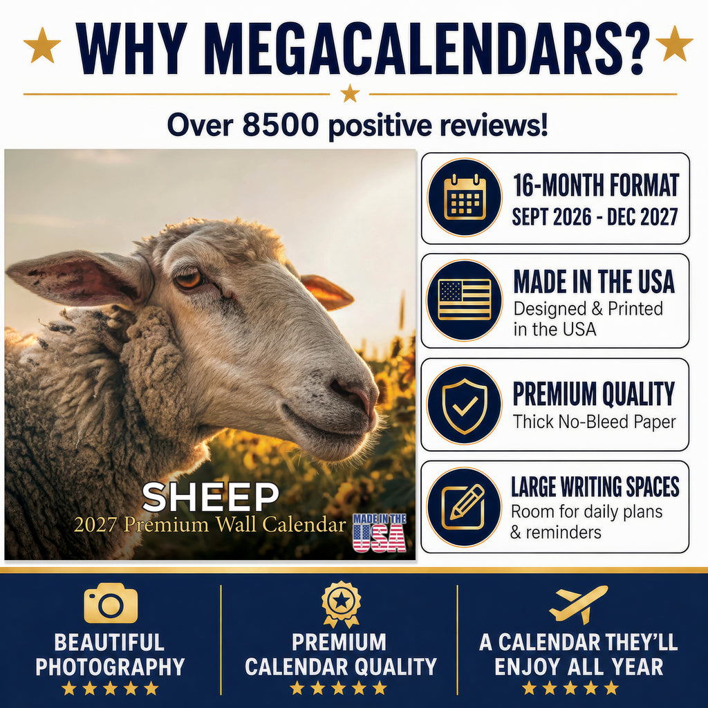Sheep Wall Calendar 2027 - 12" x 12" Monthly Gentle & Pastoral Farm Animal Sheep Breed Calendar
