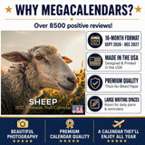 Sheep Wall Calendar 2027 - 12" x 12" Monthly Gentle & Pastoral Farm Animal Sheep Breed Calendar