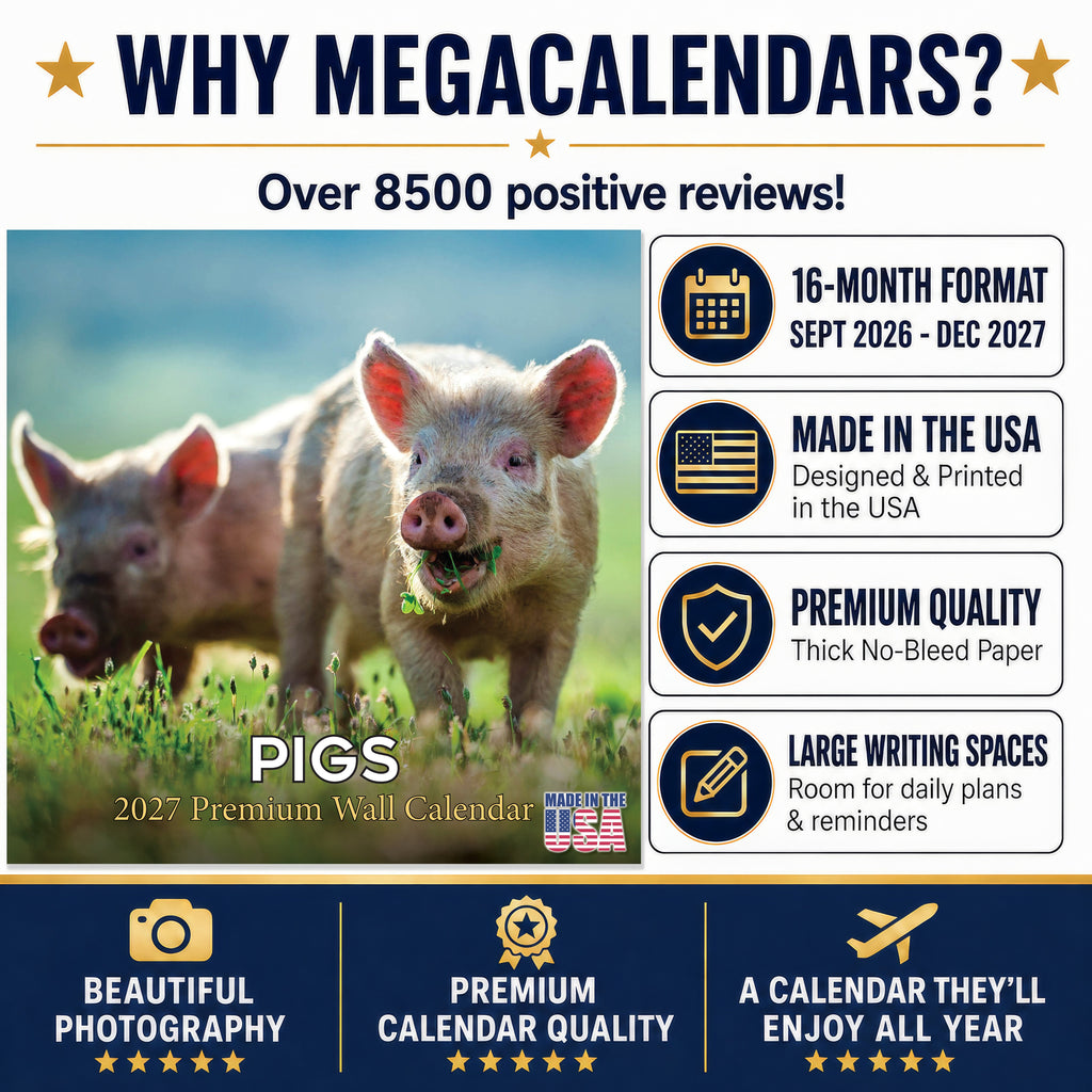 Pigs Wall Calendar 2027 - 12" x 12" Monthly Intelligent Farm Animals & Clever Heritage Hog Calendar