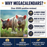 Pigs Wall Calendar 2027 - 12" x 12" Monthly Intelligent Farm Animals & Clever Heritage Hog Calendar