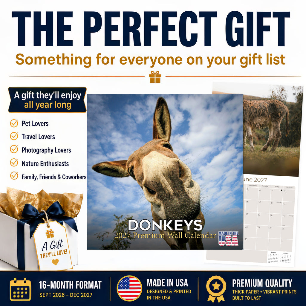 Donkeys Wall Calendar 2027 - 12" x 12" Monthly Charming Farm Equine & Long Eared Donkey Calendar