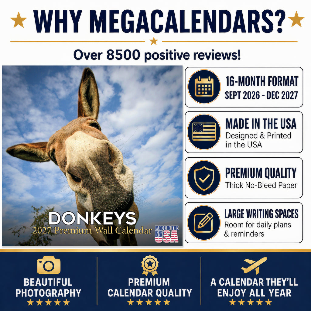 Donkeys Wall Calendar 2027 - 12" x 12" Monthly Charming Farm Equine & Long Eared Donkey Calendar