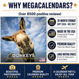Donkeys Wall Calendar 2027 - 12" x 12" Monthly Charming Farm Equine & Long Eared Donkey Calendar