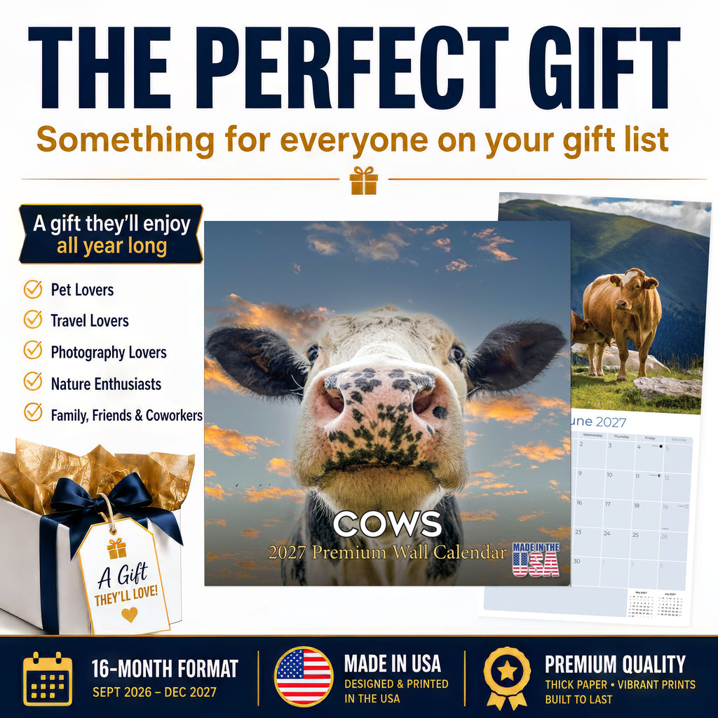 Cows Wall Calendar 2027 - 12" x 12" Monthly Gentle & Pastoral Farm Pasture Cattle Calendar