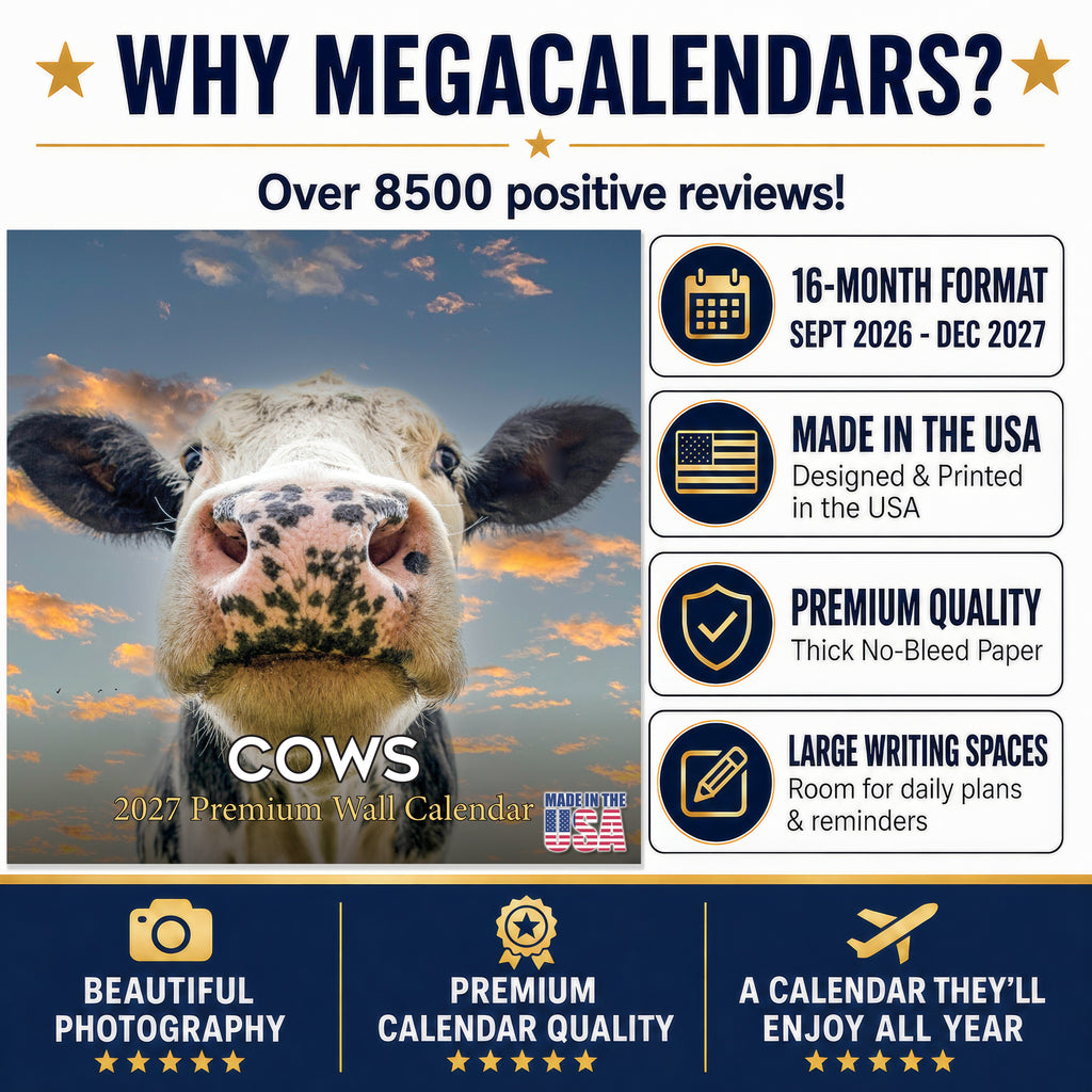 Cows Wall Calendar 2027 - 12" x 12" Monthly Gentle & Pastoral Farm Pasture Cattle Calendar