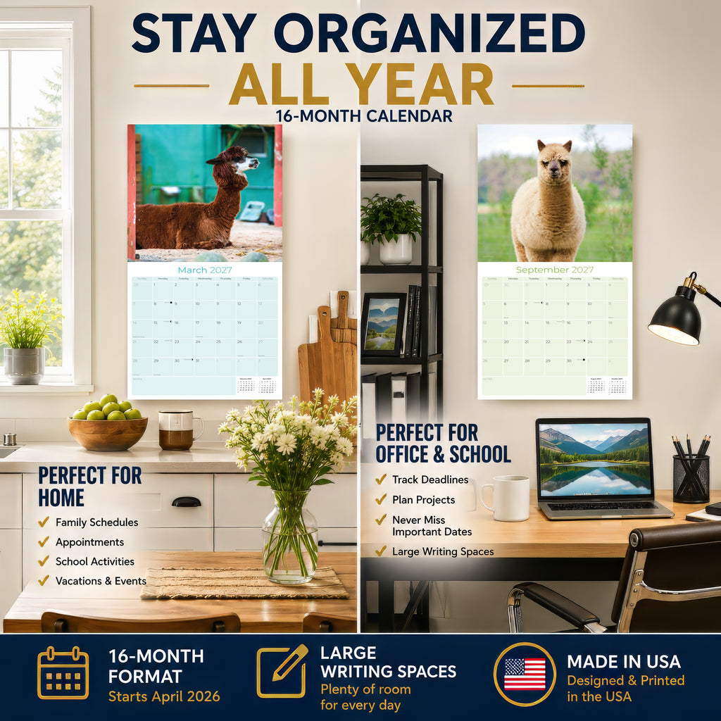 Alpacas Wall Calendar 2027 - 12" x 12" Monthly Farm Animal Herd & Cute Alpaca Art Calendar