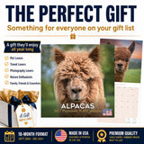 Alpacas Wall Calendar 2027 - 12" x 12" Monthly Farm Animal Herd & Cute Alpaca Art Calendar