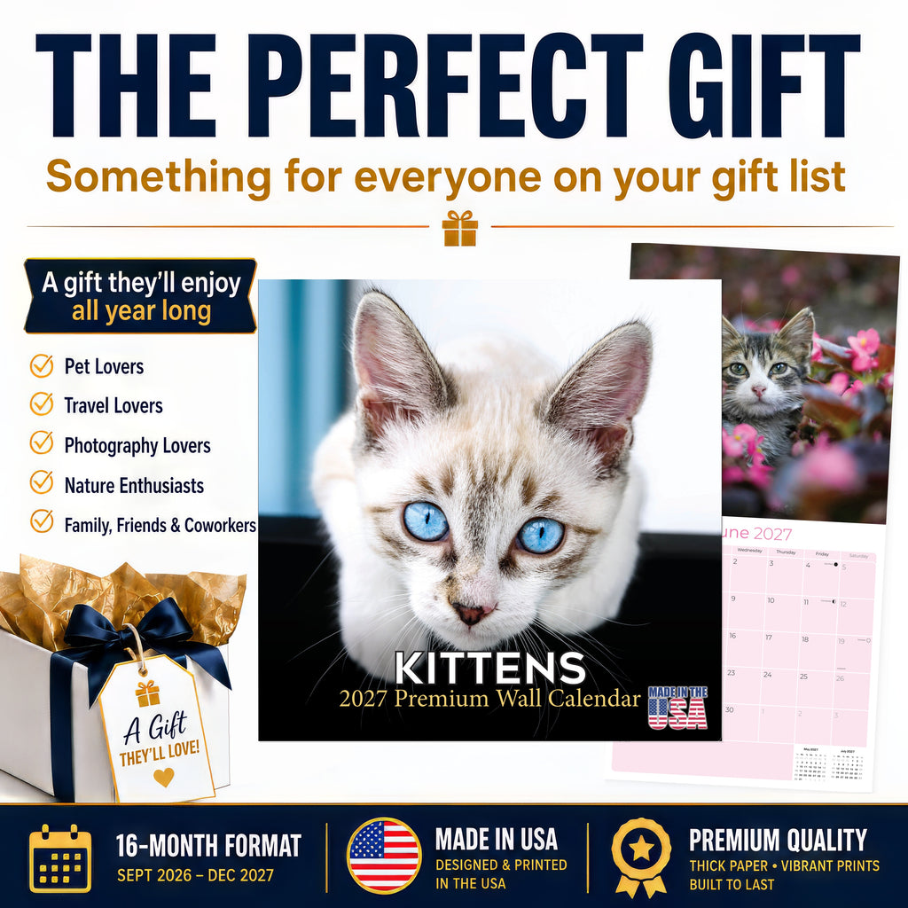Kittens Wall Calendar 2027 - 12" x 12" Monthly Adorable Felines & Fluffy House Cat Pups Calendar