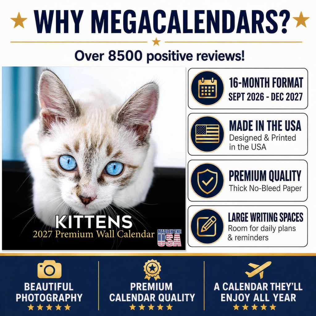 Kittens Wall Calendar 2027 - 12" x 12" Monthly Adorable Felines & Fluffy House Cat Pups Calendar