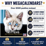 Kittens Wall Calendar 2027 - 12" x 12" Monthly Adorable Felines & Fluffy House Cat Pups Calendar