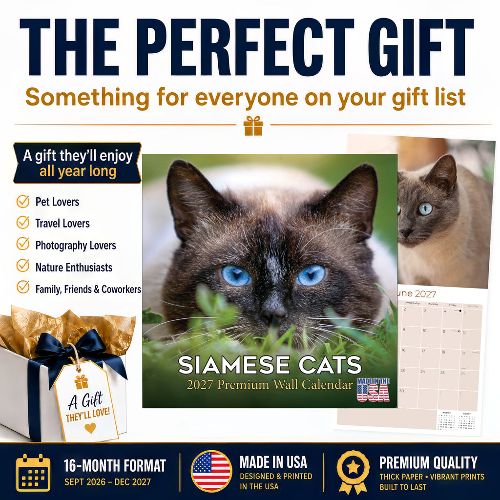 Siamese Cats Wall Calendar 2027 - 12" x 12" Monthly Intelligent & Sleek Blue-Eyed Feline Companion Calendar