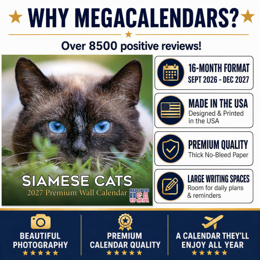 Siamese Cats Wall Calendar 2027 - 12" x 12" Monthly Intelligent & Sleek Blue-Eyed Feline Companion Calendar