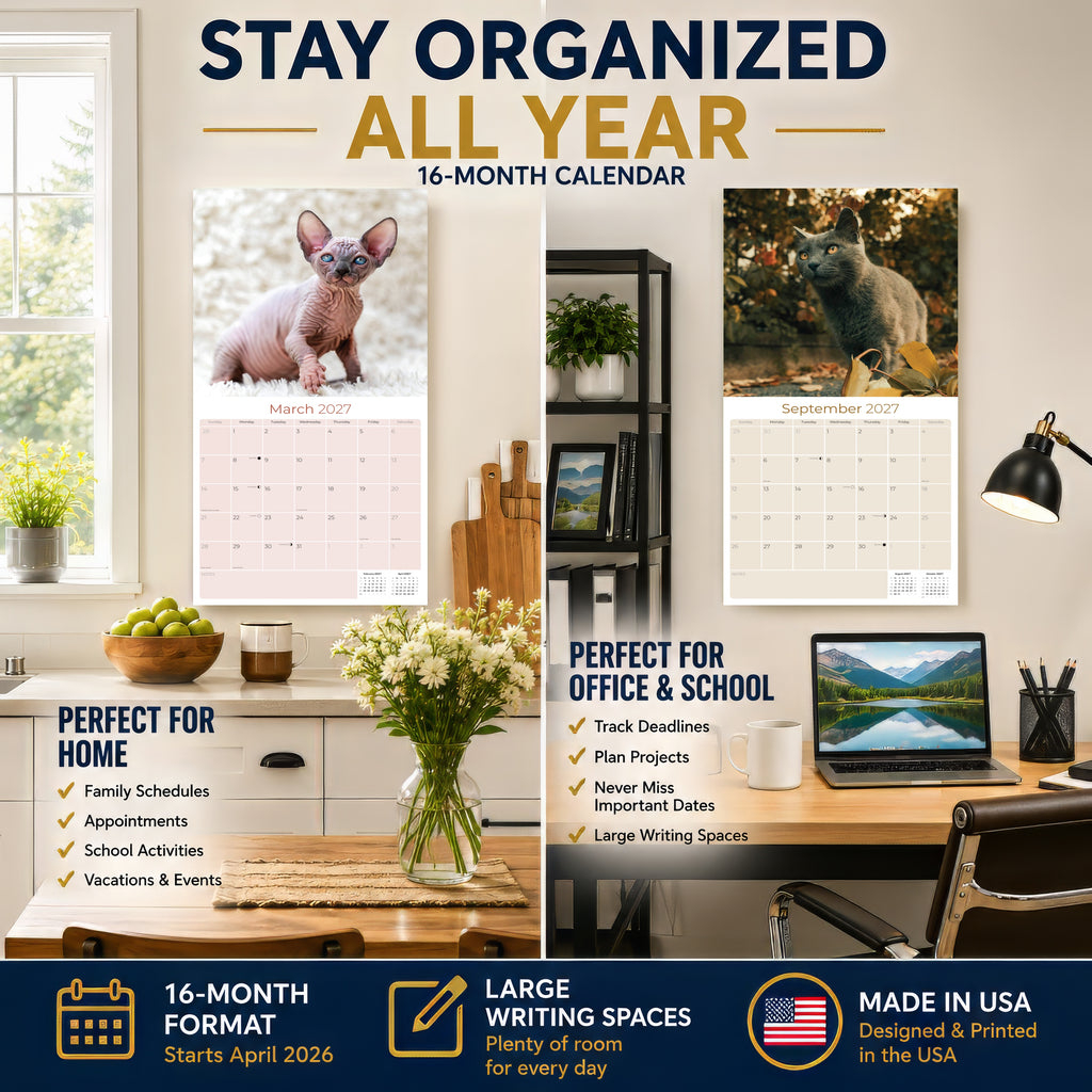 Cats Wall Calendar 2027 - 12" x 12" Monthly Playful Independent House Cat Companion Calendar