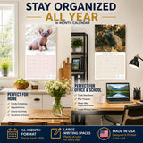 Cats Wall Calendar 2027 - 12" x 12" Monthly Playful Independent House Cat Companion Calendar
