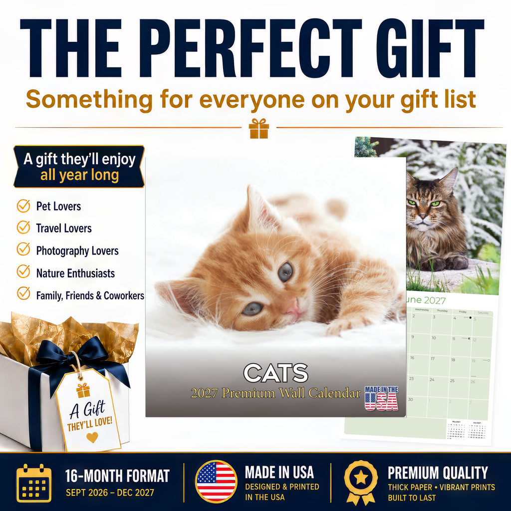 Cats Wall Calendar 2027 - 12" x 12" Monthly Playful Independent House Cat Companion Calendar