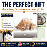 Cats Wall Calendar 2027 - 12" x 12" Monthly Playful Independent House Cat Companion Calendar