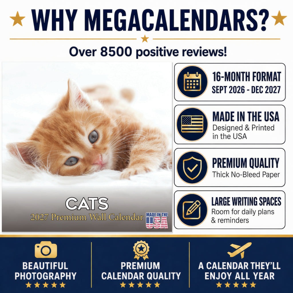 Cats Wall Calendar 2027 - 12" x 12" Monthly Playful Independent House Cat Companion Calendar
