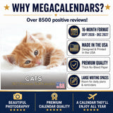 Cats Wall Calendar 2027 - 12" x 12" Monthly Playful Independent House Cat Companion Calendar