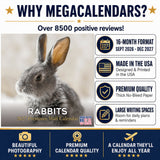 Rabbits Wall Calendar 2027 - 12" x 12" Monthly Gentle & Curious Bunny Rabbit Nature Calendar