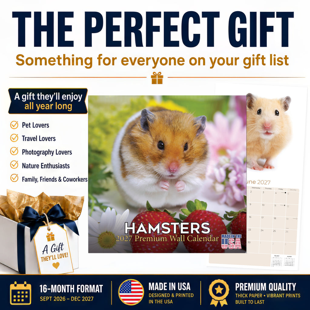 Hamsters Wall Calendar 2027 - 12" x 12" Monthly Cute Rodents & Precocious Pocket Pet Calendar