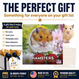 Hamsters Wall Calendar 2027 - 12" x 12" Monthly Cute Rodents & Precocious Pocket Pet Calendar