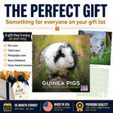 Guinea Pigs Wall Calendar 2027 - 12" x 12" Monthly Cuddly Pets & Small Cavy Companion Calendar