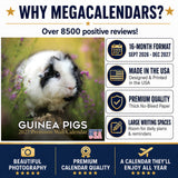 Guinea Pigs Wall Calendar 2027 - 12" x 12" Monthly Cuddly Pets & Small Cavy Companion Calendar