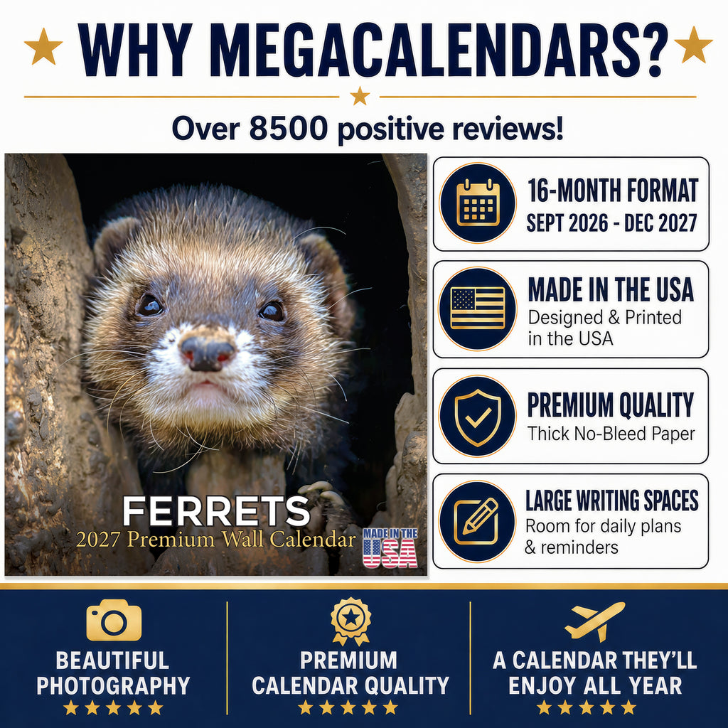 Ferrets Wall Calendar 2027 - 12" x 12" Monthly Playful & Mischievous Domestic Ferret Pet Calendar