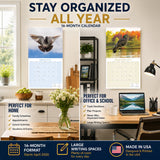 Pigeons Wall Calendar 2026
