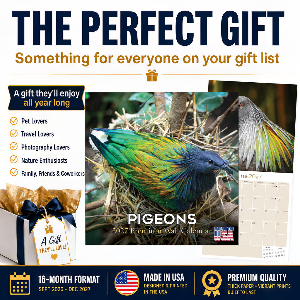 Pigeons Wall Calendar 2026