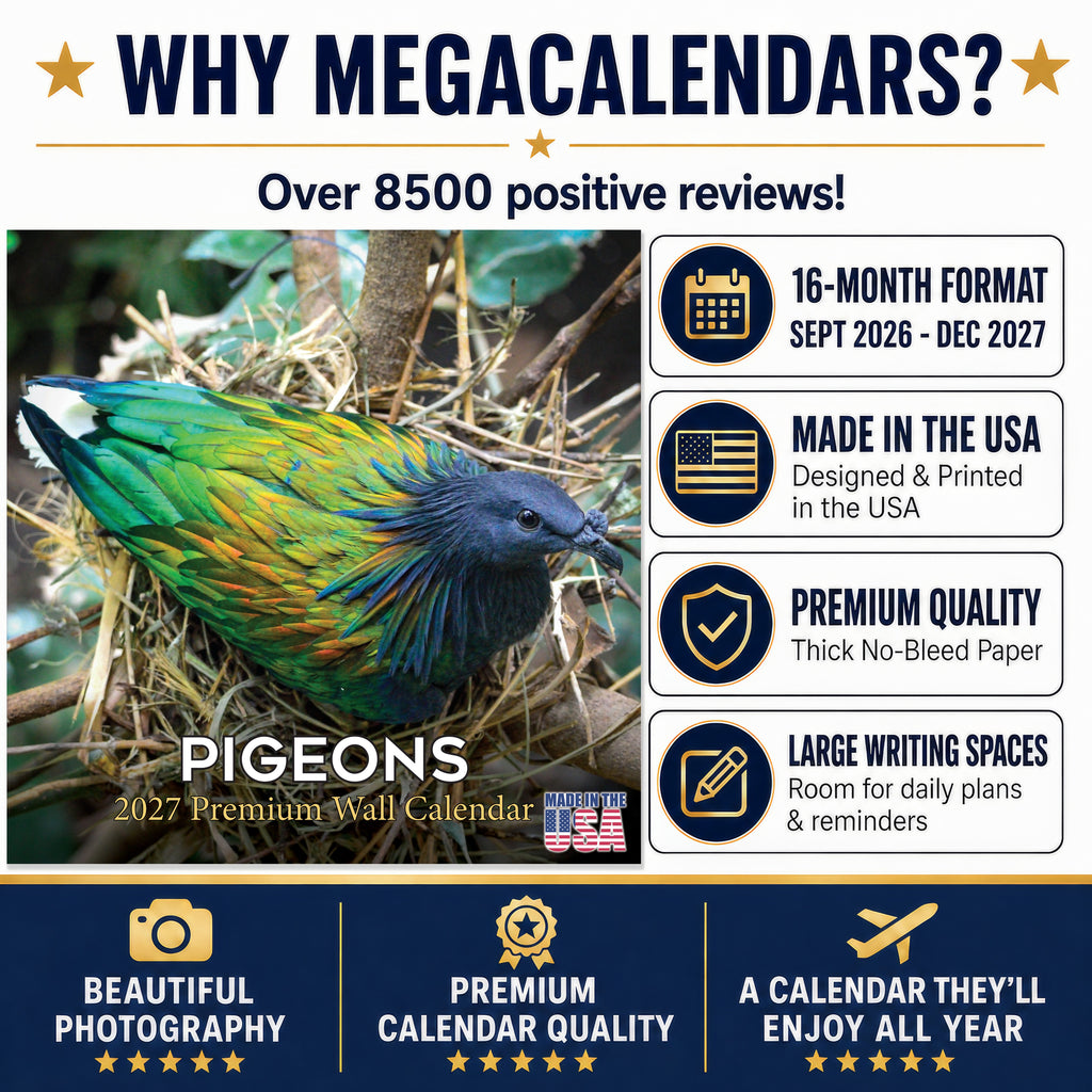 Pigeons Wall Calendar 2026