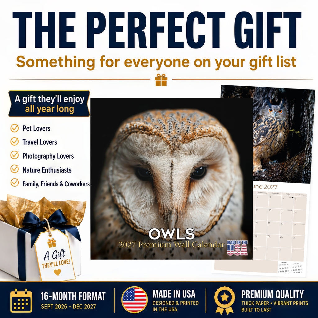 Owls Wall Calendar 2027 - 12" x 12" Monthly Majestic Raptors & Wise Nocturnal Bird Calendar