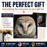Owls Wall Calendar 2027 - 12" x 12" Monthly Majestic Raptors & Wise Nocturnal Bird Calendar