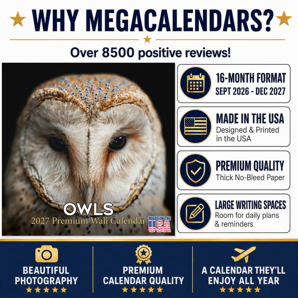Owls Wall Calendar 2027 - 12" x 12" Monthly Majestic Raptors & Wise Nocturnal Bird Calendar